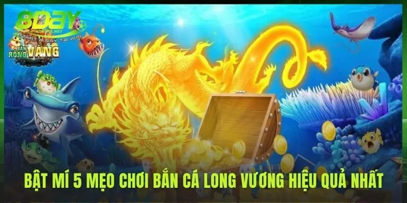 Tổng hợp các kinh nghiệm thực chiến hiệu quả nhất
