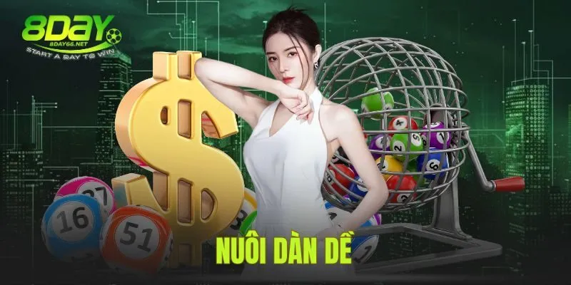 Nuôi Dàn Đề